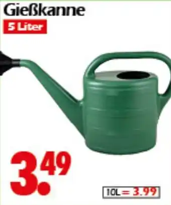 Wreesmann Gießkanne Angebot