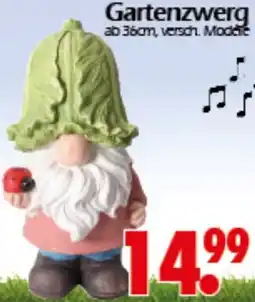 Wreesmann Gartenzwerg Angebot