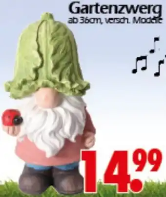 Wreesmann Gartenzwerg Angebot