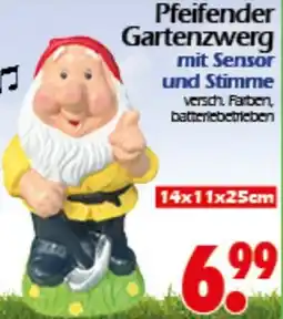 Wreesmann Pfeifender Gartenzwerg Angebot