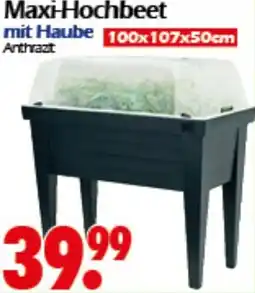 Wreesmann Maxi-Hochbeet Angebot