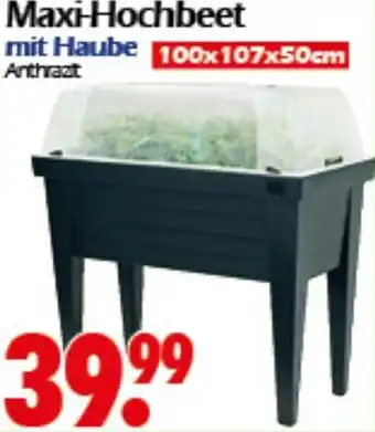 Wreesmann Maxi-Hochbeet Angebot