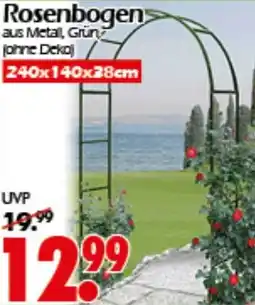 Wreesmann Rosenbogen Angebot