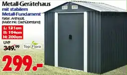 Wreesmann Metall-Gerätehaus Angebot