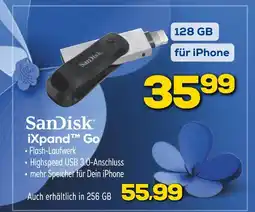 Euronics Sandisk ixpand go Angebot
