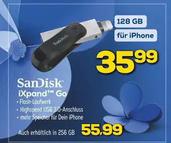Euronics Sandisk ixpand go Angebot