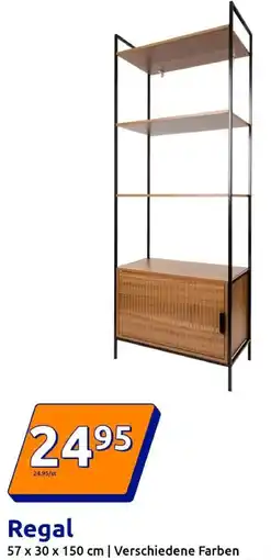 Action Regal Angebot