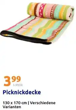 Action Picknickdecke Angebot