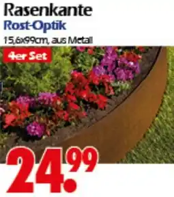 Wreesmann Rasenkante Rost-Optik Angebot