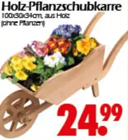 Wreesmann Holz-Pflanzschubkarre Angebot