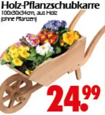 Wreesmann Holz-Pflanzschubkarre Angebot