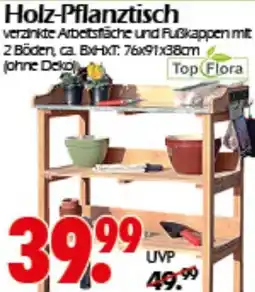 Wreesmann Holz-Pflanztisch Angebot