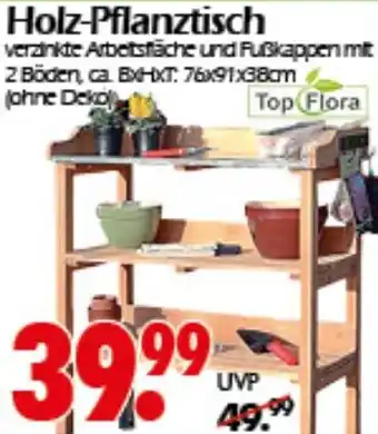 Wreesmann Holz-Pflanztisch Angebot