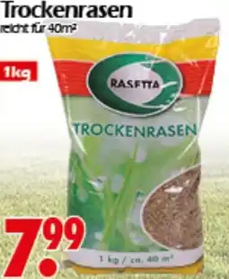 Wreesmann Trockenrasen Angebot