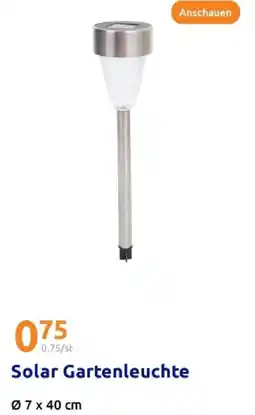 Action Solar gartenleuchte Angebot