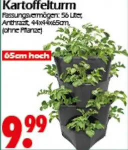 Wreesmann Kartoffelturm Angebot