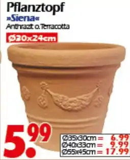 Wreesmann Pflanztopf Siena Angebot