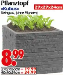 Wreesmann Pflanztopf Kubus Angebot