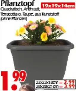 Wreesmann Pflanztopf Angebot