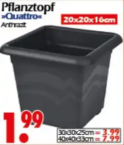 Wreesmann Pflanztopf Quattro Angebot