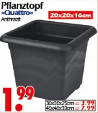 Wreesmann Pflanztopf Quattro Angebot