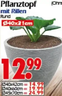Wreesmann Pflanztopf mit Rillen Angebot