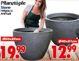 Wreesmann Pflanztōpfe Stone Angebot