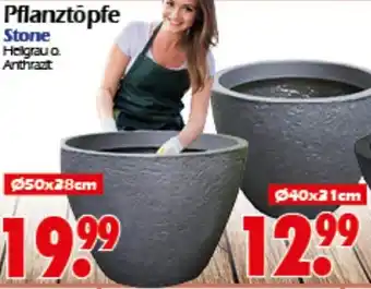 Wreesmann Pflanztōpfe Stone Angebot