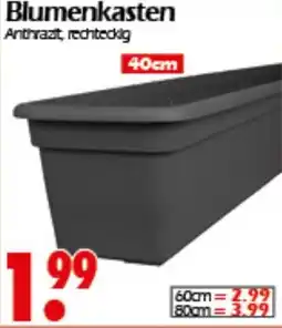 Wreesmann Blumenkasten für Paletten Angebot