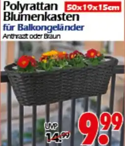 Wreesmann Polyrattan Blumenkasten Angebot