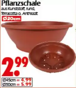 Wreesmann Pflanzschale Angebot