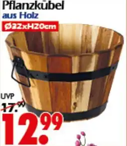 Wreesmann Pflanzkübel aus Holz Angebot