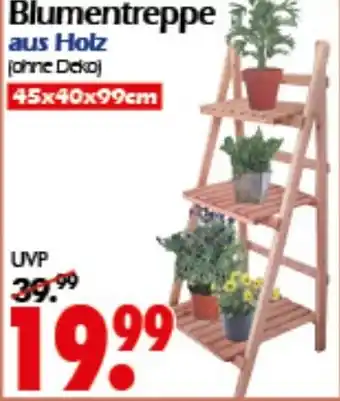 Wreesmann Blumentreppe aus Holz Angebot