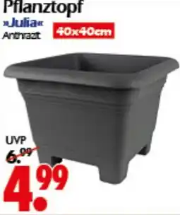 Wreesmann Pflanztopf Angebot