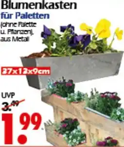 Wreesmann Blumenkasten für Paletten Angebot