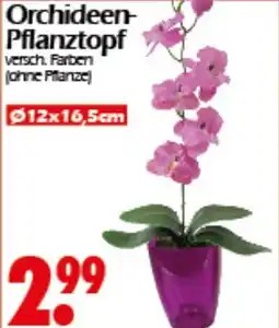 Wreesmann Orchideen- Pflanztopf Angebot