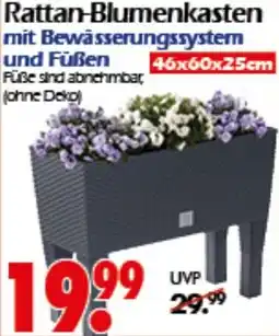 Wreesmann Rattan-Blumenkasten Angebot