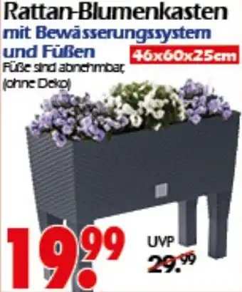 Wreesmann Rattan-Blumenkasten Angebot