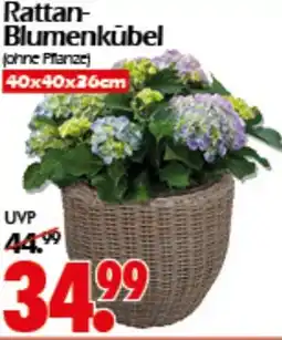 Wreesmann Rattan- Blumenkübel Angebot