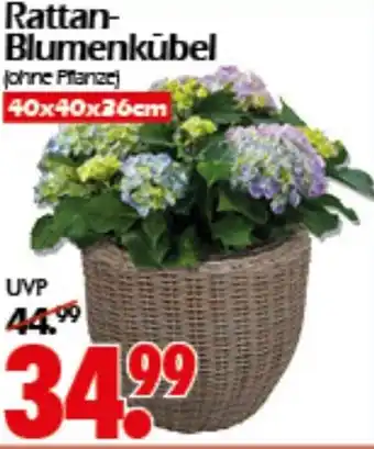 Wreesmann Rattan- Blumenkübel Angebot