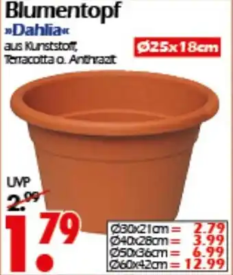 Wreesmann Blumentopf Dahlia Angebot