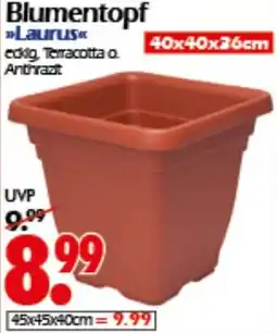 Wreesmann Blumentopf Laurus Angebot