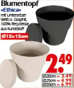 Wreesmann Blumentopf Ethica Angebot