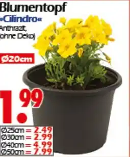 Wreesmann Blumentopf Cilindro Angebot