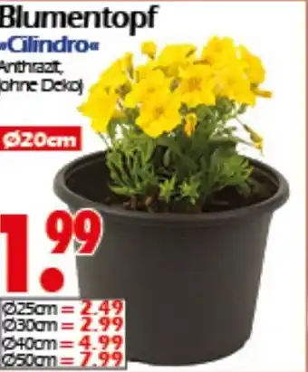 Wreesmann Blumentopf Cilindro Angebot