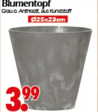 Wreesmann Blumentopf Angebot
