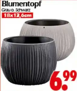 Wreesmann Blumentopf Angebot