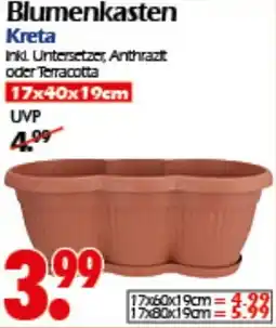 Wreesmann Blumenkasten Kreta Angebot