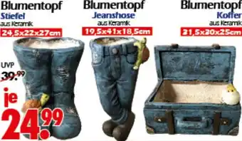 Wreesmann Blumentopf Koffer Angebot