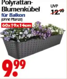 Wreesmann Polyrattan- Blumenkübel Angebot